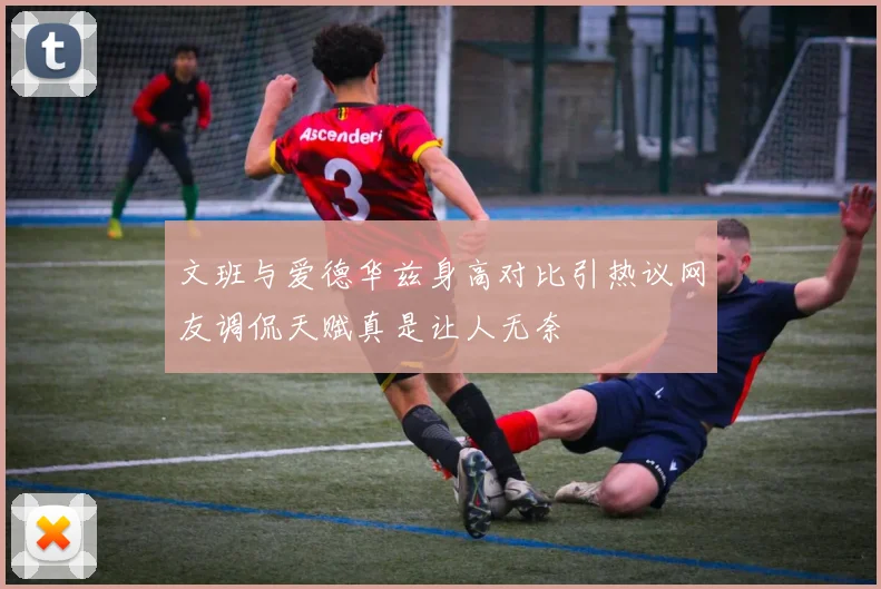 文班与爱德华兹身高对比引热议网友调侃天赋真是让人无奈