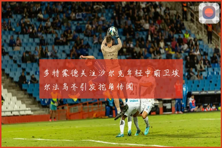 多特蒙德关注沙尔克年轻中前卫埃尔法乌齐引发挖角传闻