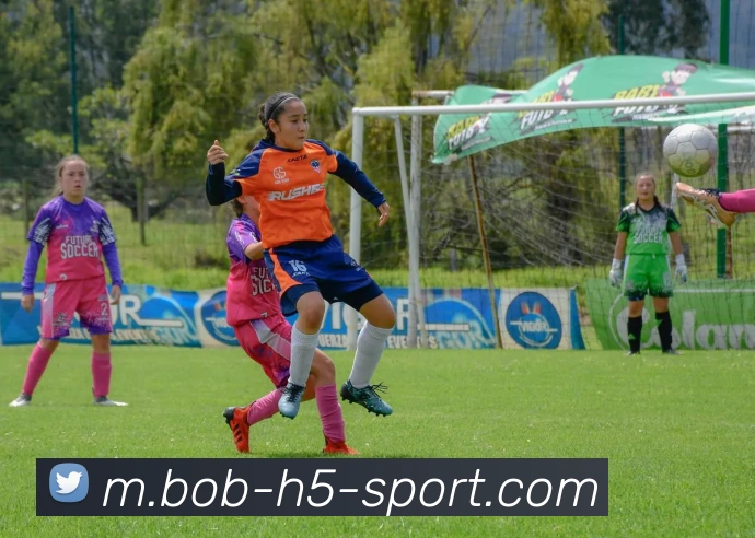 BOB体育APP 封面图